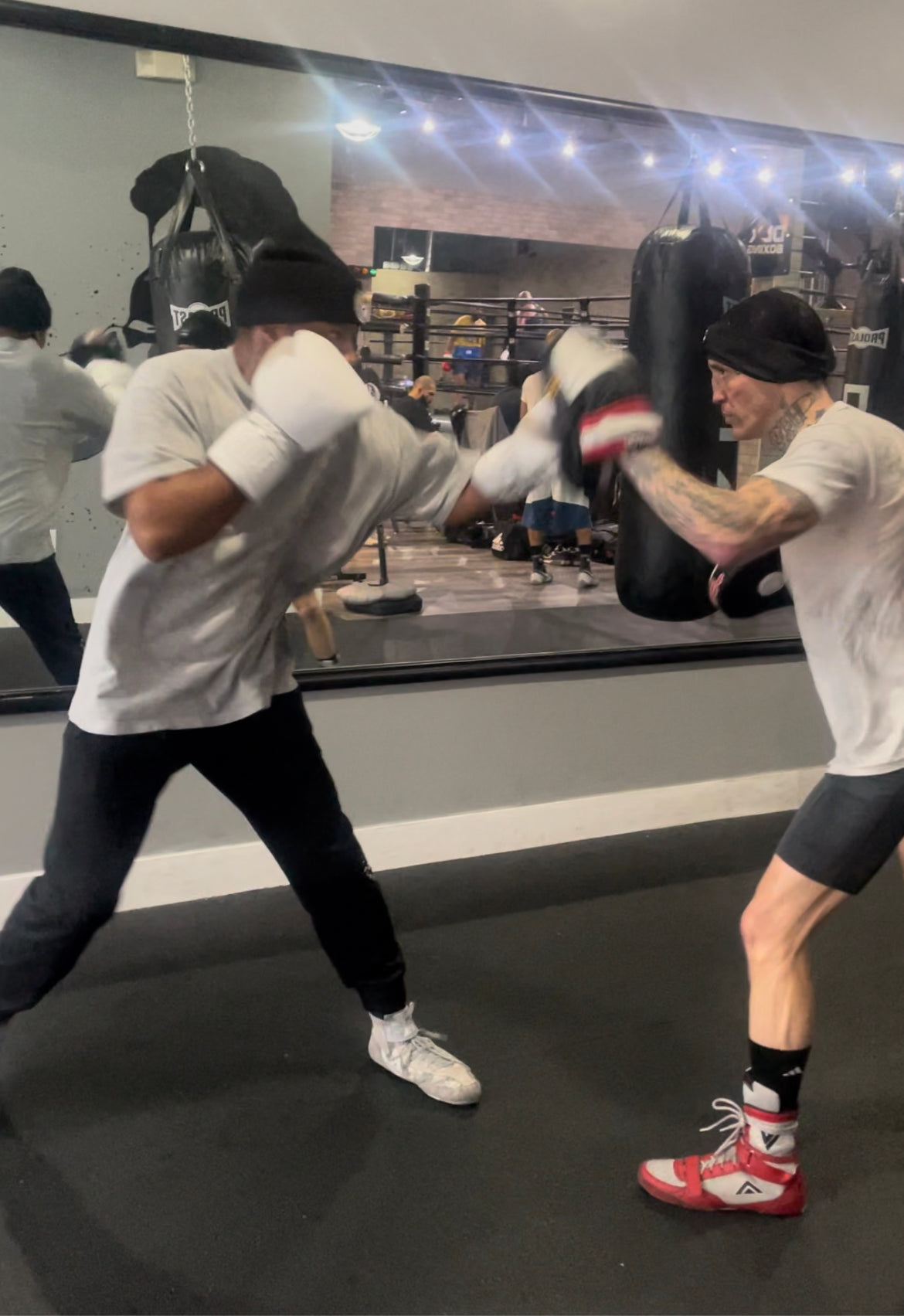 Title sparring gloves